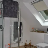 Modern bathroom with skylight window
