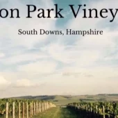 Exton Park Vineyard, South Downs view