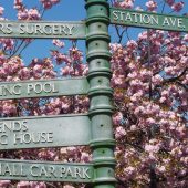 Signpost with blossoms and clear sky