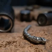 A close-up of a Viking-era silver artifact with intricate animal design, displayed on a stone surface at the Jorvik Viking Centre