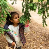 A young child exploring and touching tree branches in a natural setting