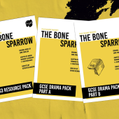 The Bone Sparrow study packs image